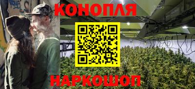 Альфа ПВП Малгобек