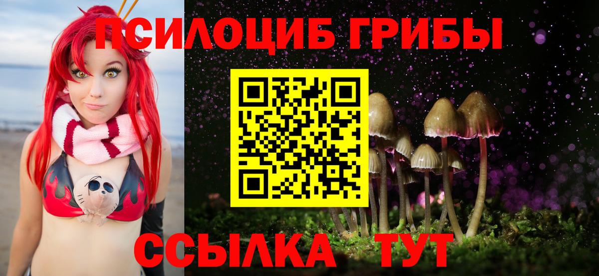 Галлюциногенные грибы MAGIC MUSHROOMS Черногорск