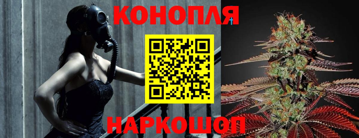Конопля сатива Черногорск